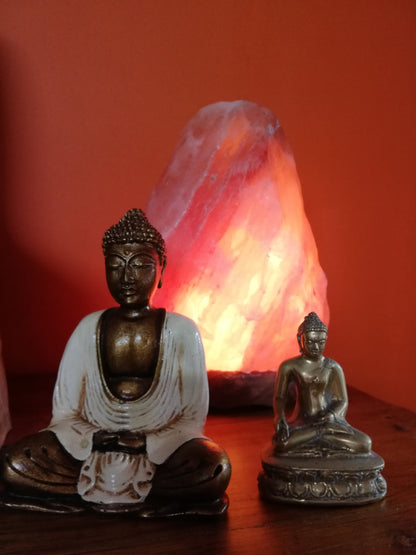 Himalayan Salt Lamp Various Sizes